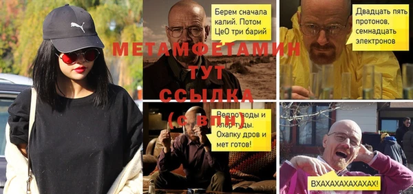 ПСИЛОЦИБИНОВЫЕ ГРИБЫ Козловка
