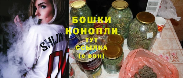 ПСИЛОЦИБИНОВЫЕ ГРИБЫ Козловка