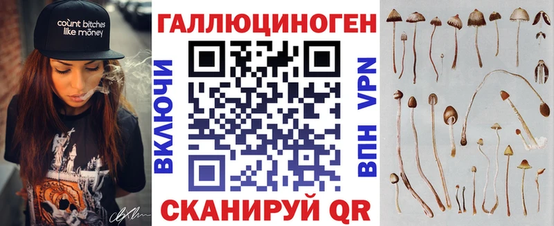 Галлюциногенные грибы GOLDEN TEACHER  мориарти Telegram  Муром 